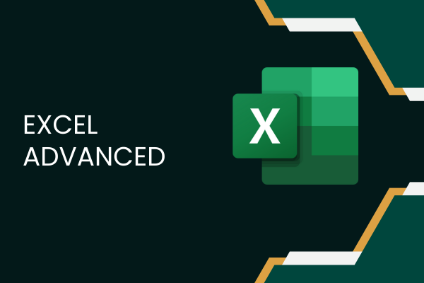Excel-Advanced-Course-Image